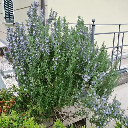 Villa Montescudo Montescudo